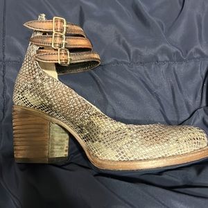 Brand new free bird Randi